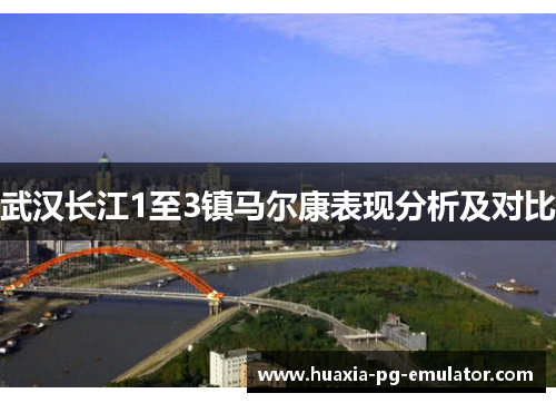 武汉长江1至3镇马尔康表现分析及对比